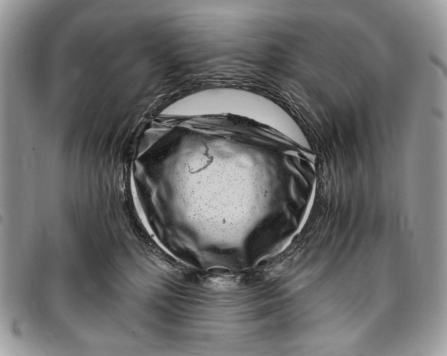 X0000096420232200802141642