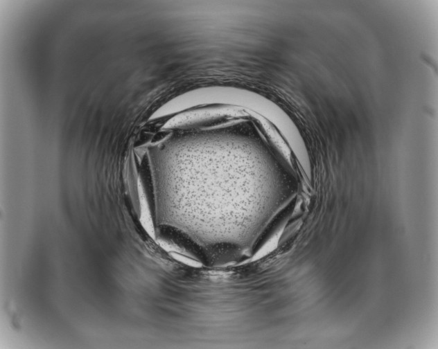 X0000096420233200802141642