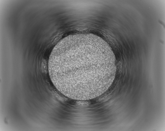 X0000096420234200802141642