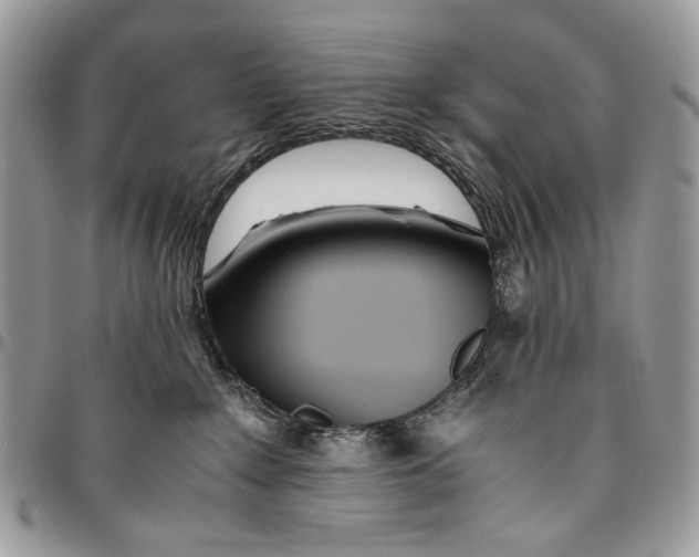 X0000096420235200802141642