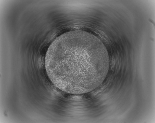 X0000096420236200802141642