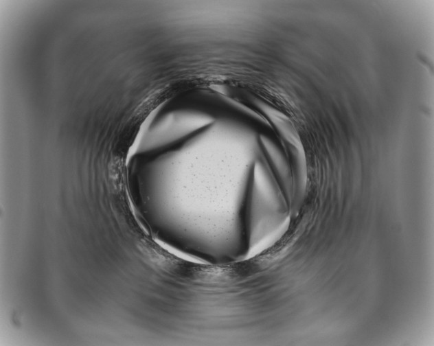 X0000096420237200802141642