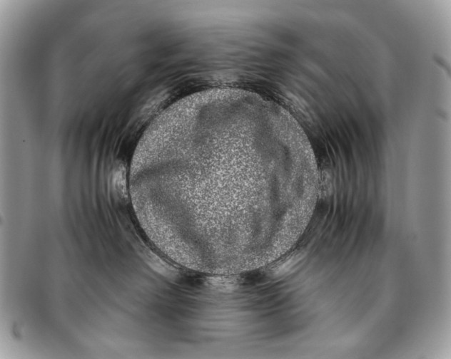 X0000096420238200802141642