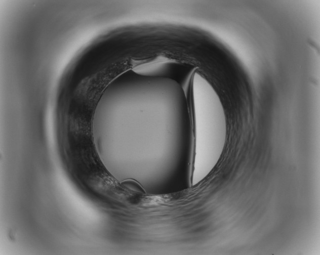 X0000096420239200802141642