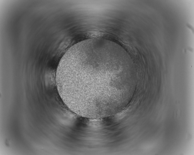 X0000096420240200802141642