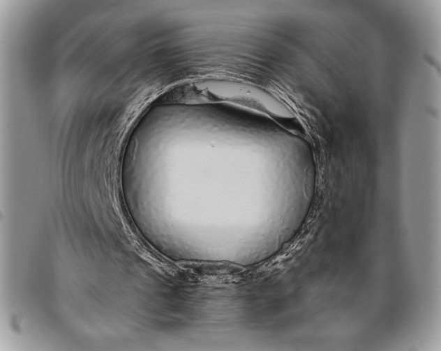 X0000096420241200802141641