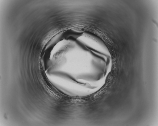 X0000096420242200802141641