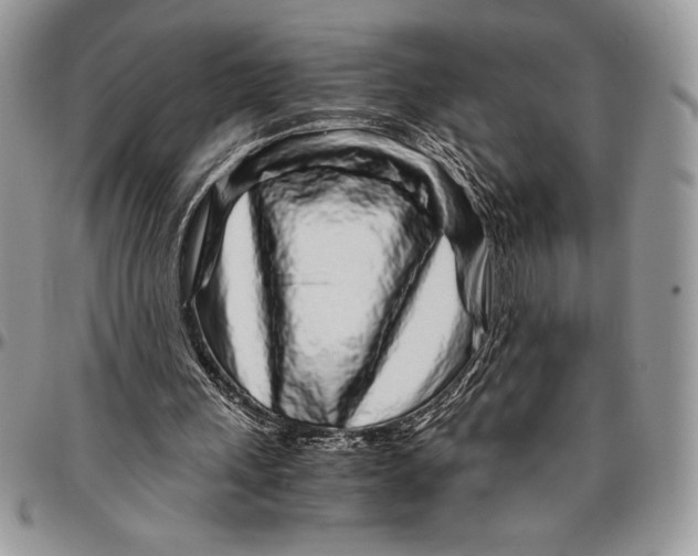 X0000096420243200802141641