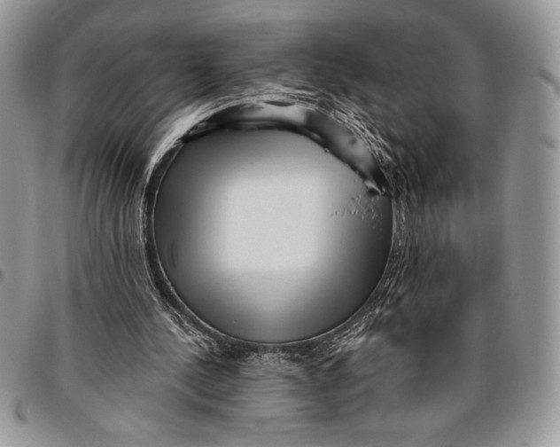 X0000096420244200802141641