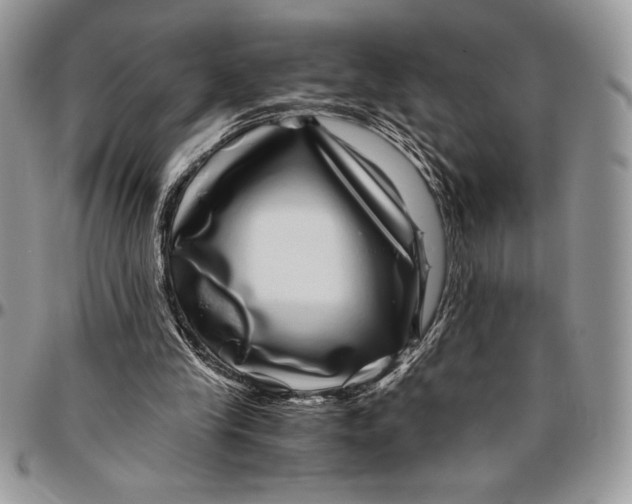 X0000096420245200802141641