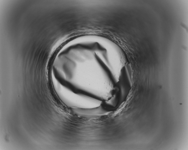 X0000096420246200802141641