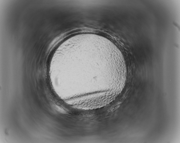 X0000096420247200802141641