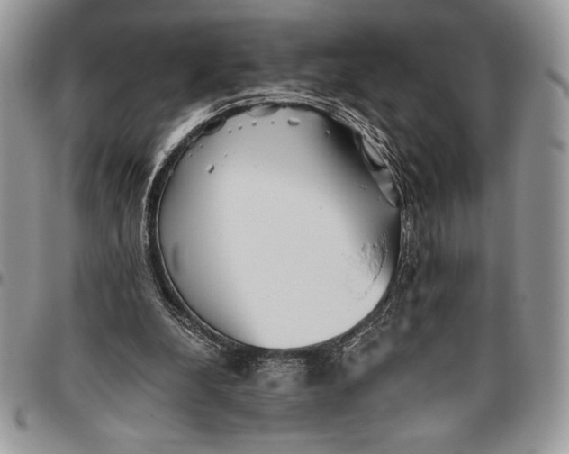 X0000096420248200802141641