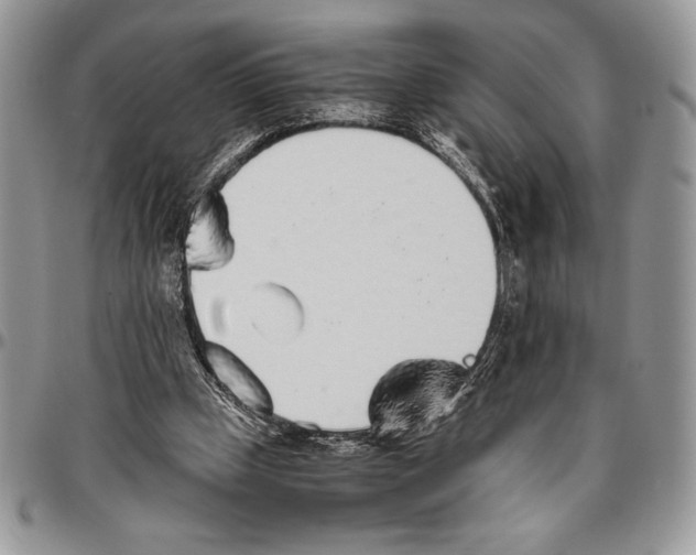 X0000096420249200802141641