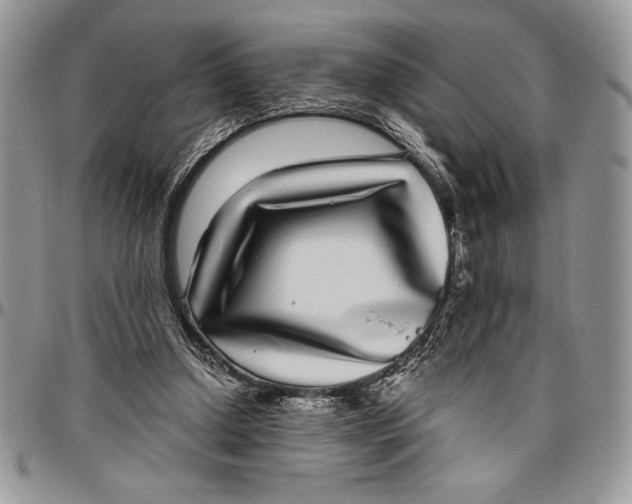 X0000096420250200802141641