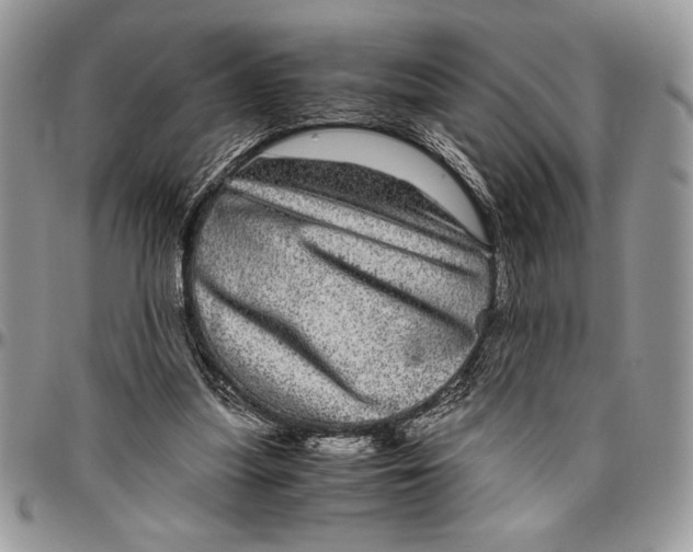 X0000096420251200802141641