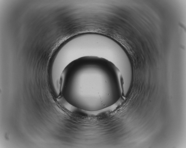 X0000096420252200802141641