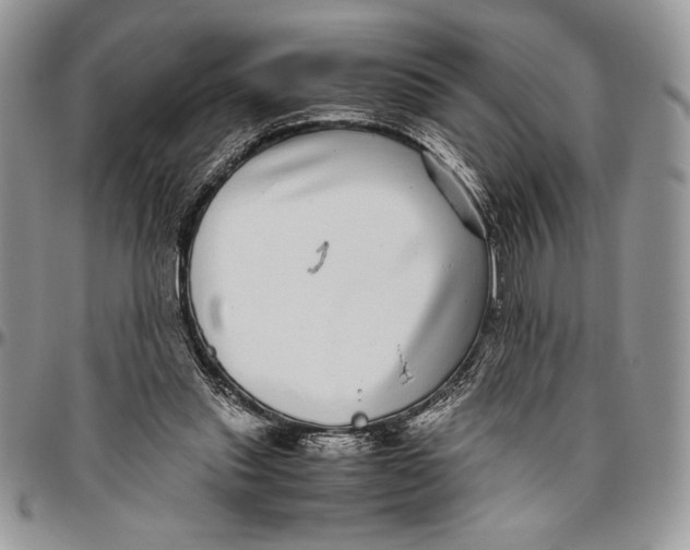 X0000096420253200802141641