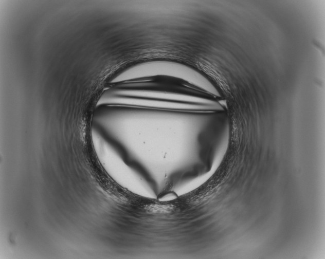 X0000096420255200802141641