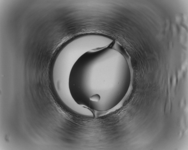 X0000096420256200802141641