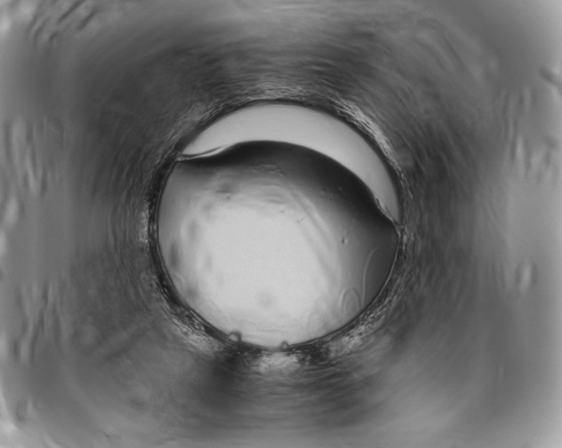 X0000096420257200802141641