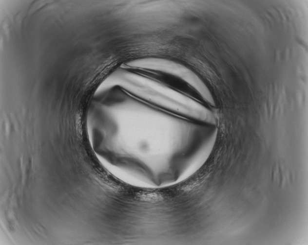 X0000096420258200802141641