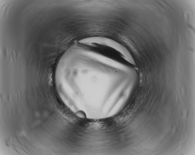 X0000096420259200802141641