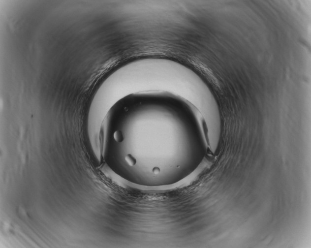 X0000096420260200802141641