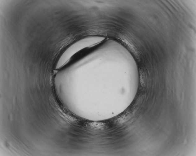 X0000096420261200802141641