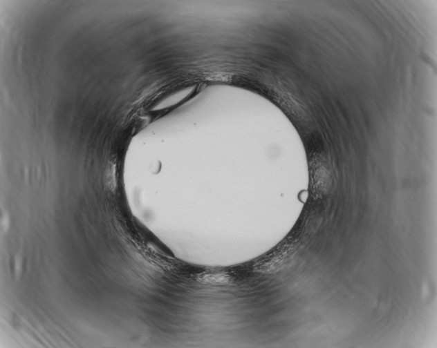 X0000096420262200802141641