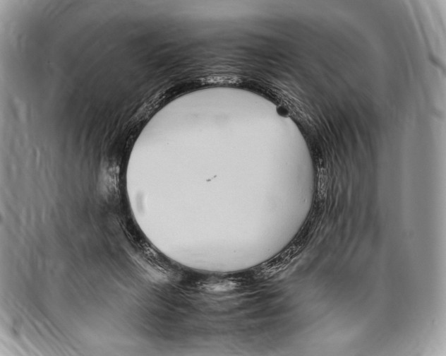 X0000096420263200802141641