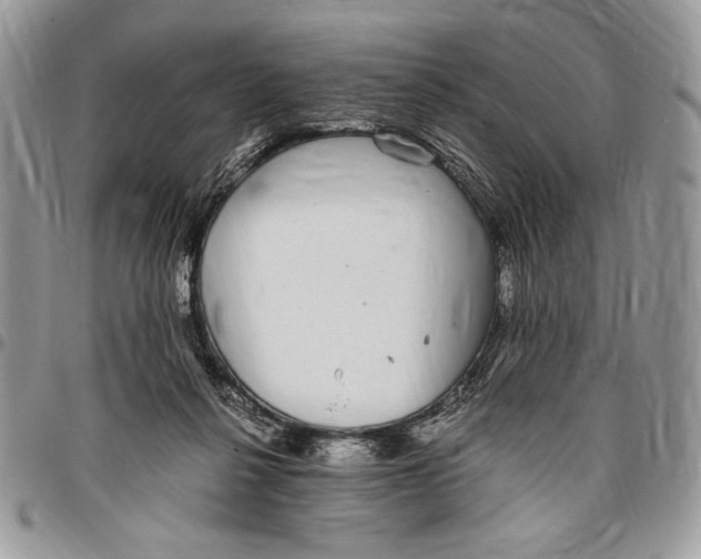 X0000096420264200802141641