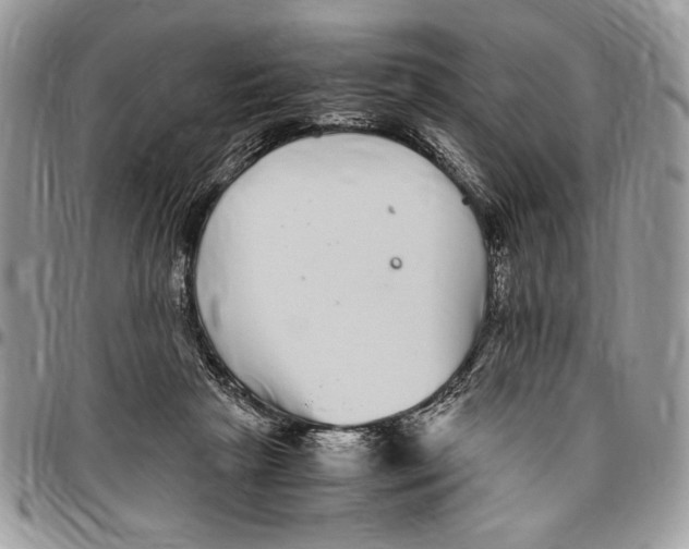 X0000096420265200802141641