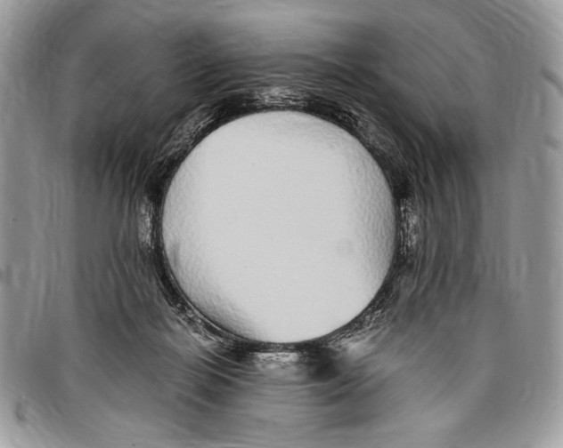 X0000096420266200802141641