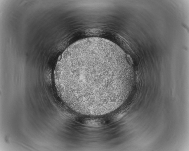 X0000096420267200802141641