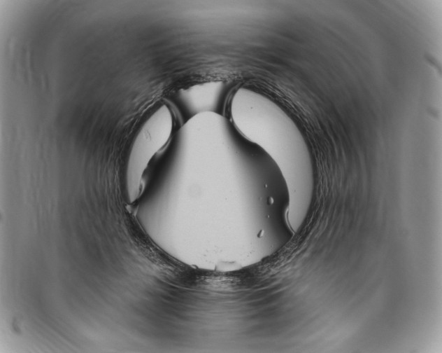 X0000096420268200802141641