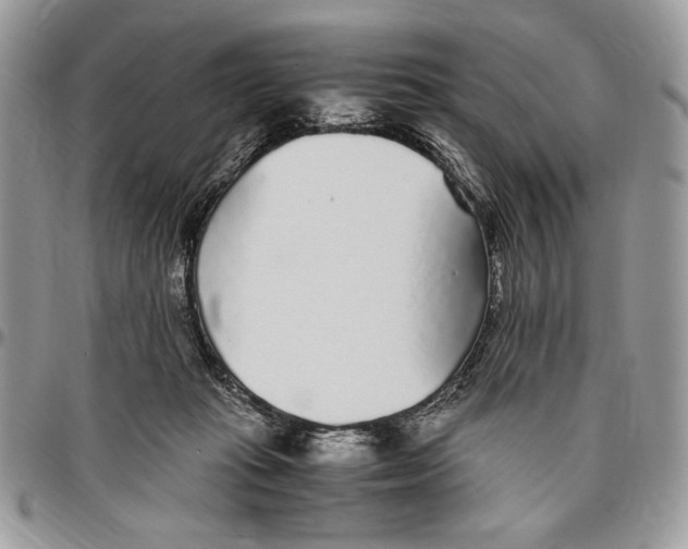 X0000096420269200802141641