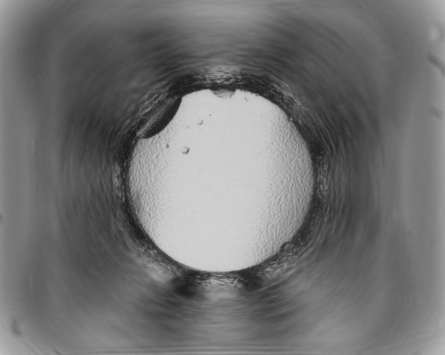 X0000096420270200802141641