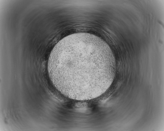 X0000096420271200802141641