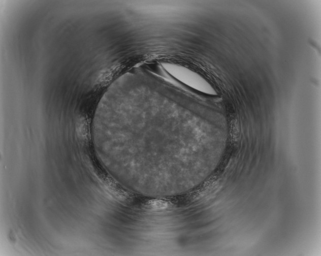 X0000096420272200802141641