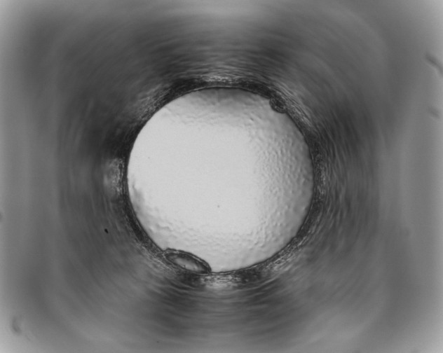 X0000096420273200802141641