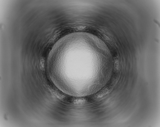 X0000096420274200802141641