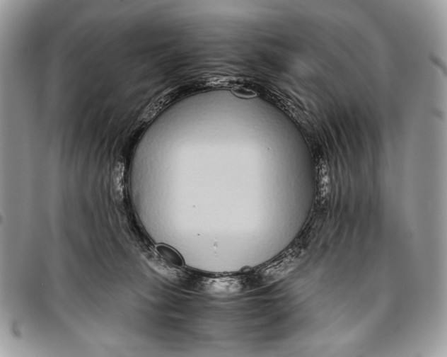 X0000096420275200802141641