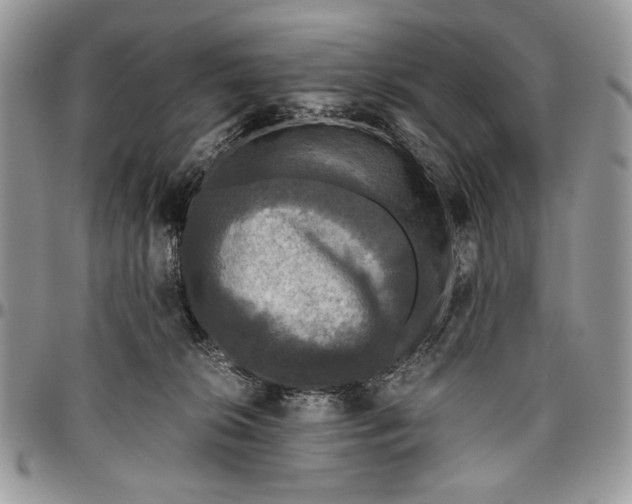 X0000096420276200802141641