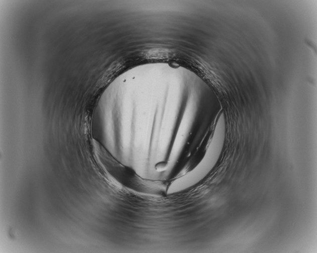 X0000096420277200802141641