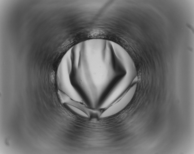 X0000096420278200802141641