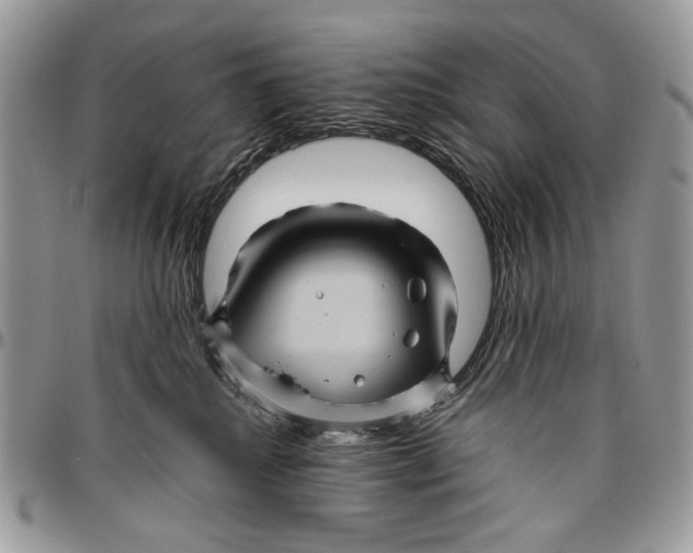 X0000096420280200802141641