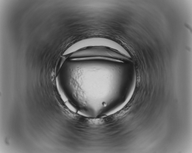 X0000096420281200802141641