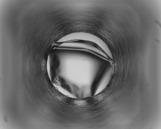 X0000096420283200802141642