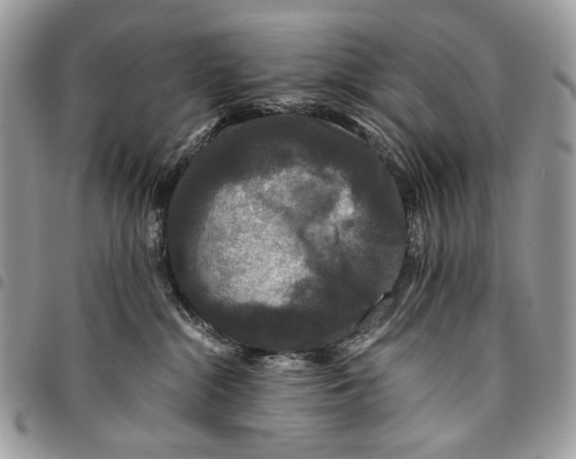 X0000096420284200802141642